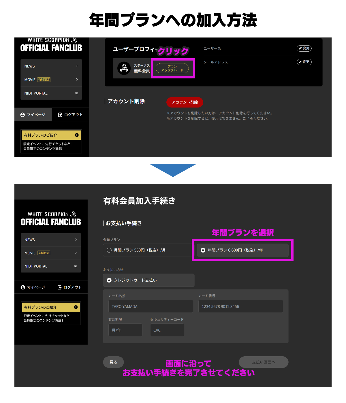 BoA ファンクラブ会報　24冊+付録 BoA ファンクラブ会報 24冊+付録